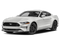 2019 Ford Mustang GT Premium STAGE 2 ROUSH