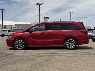 2025 Honda Odyssey Elite