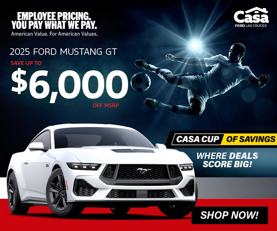 2025 FORD MUSTANG GT